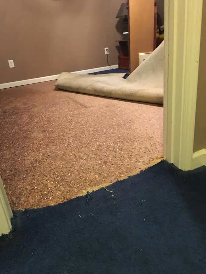 Carpet pad removal revealing water damage during Water Mitigation Services in Harvest