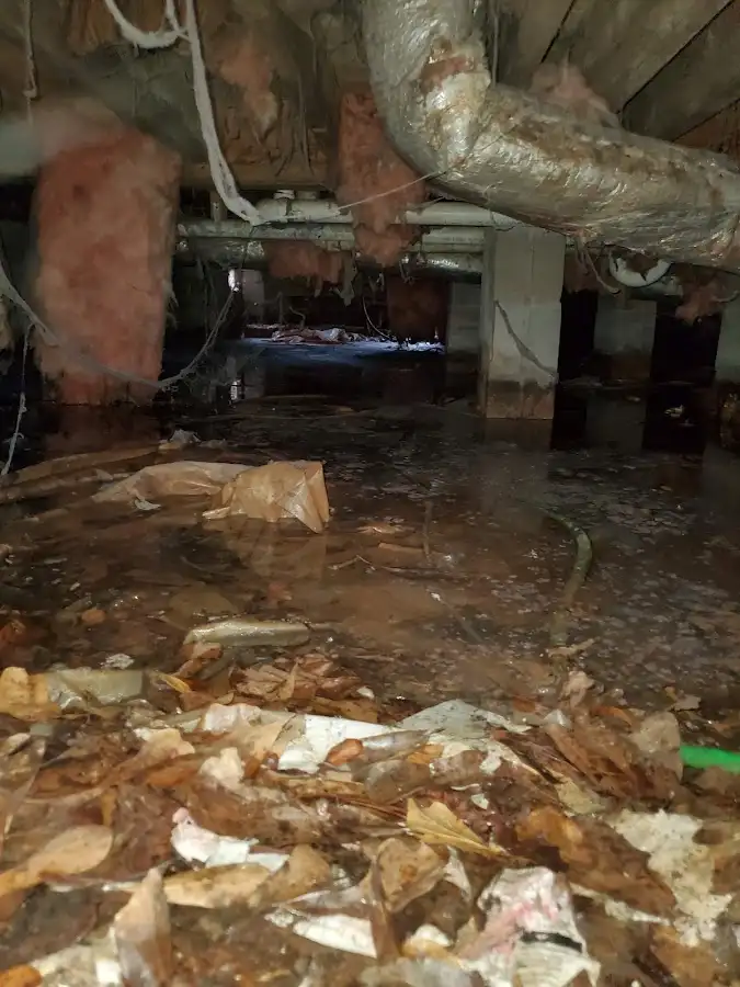 Crawl space flood assessment for Leak Detection & Repair in Harvest