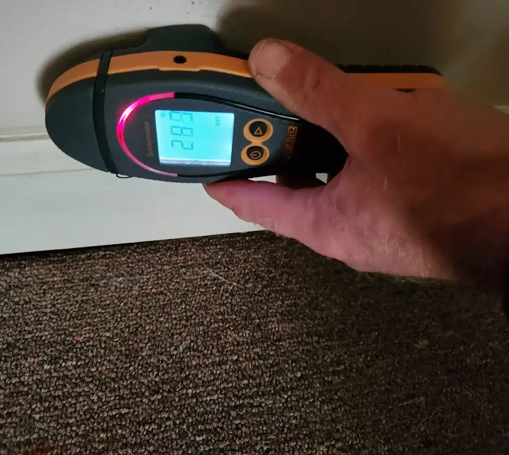 Moisture detection at baseboard during Mold Inspection & Testing in Harvest